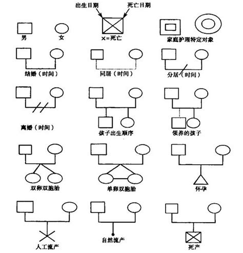 家庭圖關係線|免費AI親屬關係圖製作工具 